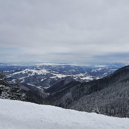 Apartment Nika Kopaonik Esterno foto